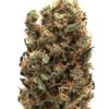 Buy AK 47 Strain Online Europe