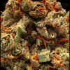 Jack Herer Strain for sale Europe