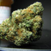 Buy Master Kush Strain UK