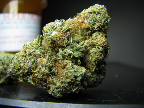 Buy Master Kush Strain UK