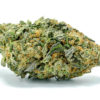 Buy Northern Lights Weed Strain UK