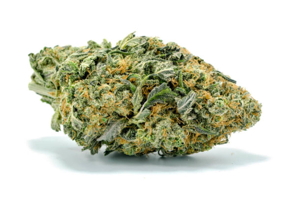 Buy Northern Lights Weed Strain UK