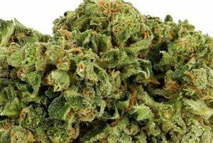 Buy White Rhino Weed Strain