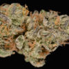 Buy Girl Scout Cookies Strain Online