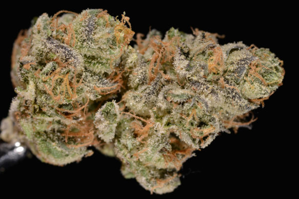 Buy Girl Scout Cookies Strain Online