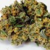 Buy Granddaddy Purple Strain Online UK