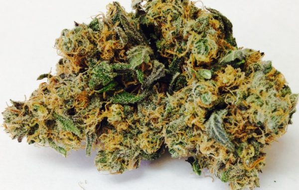 Buy Granddaddy Purple Strain Online UK