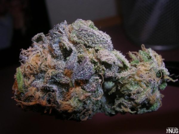 Buy Purple Urkle Weed Online UK