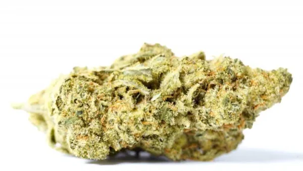 Buy Super Silver Haze (AAAA+) Online