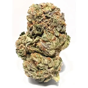 Buy Critical Kush Strain Online